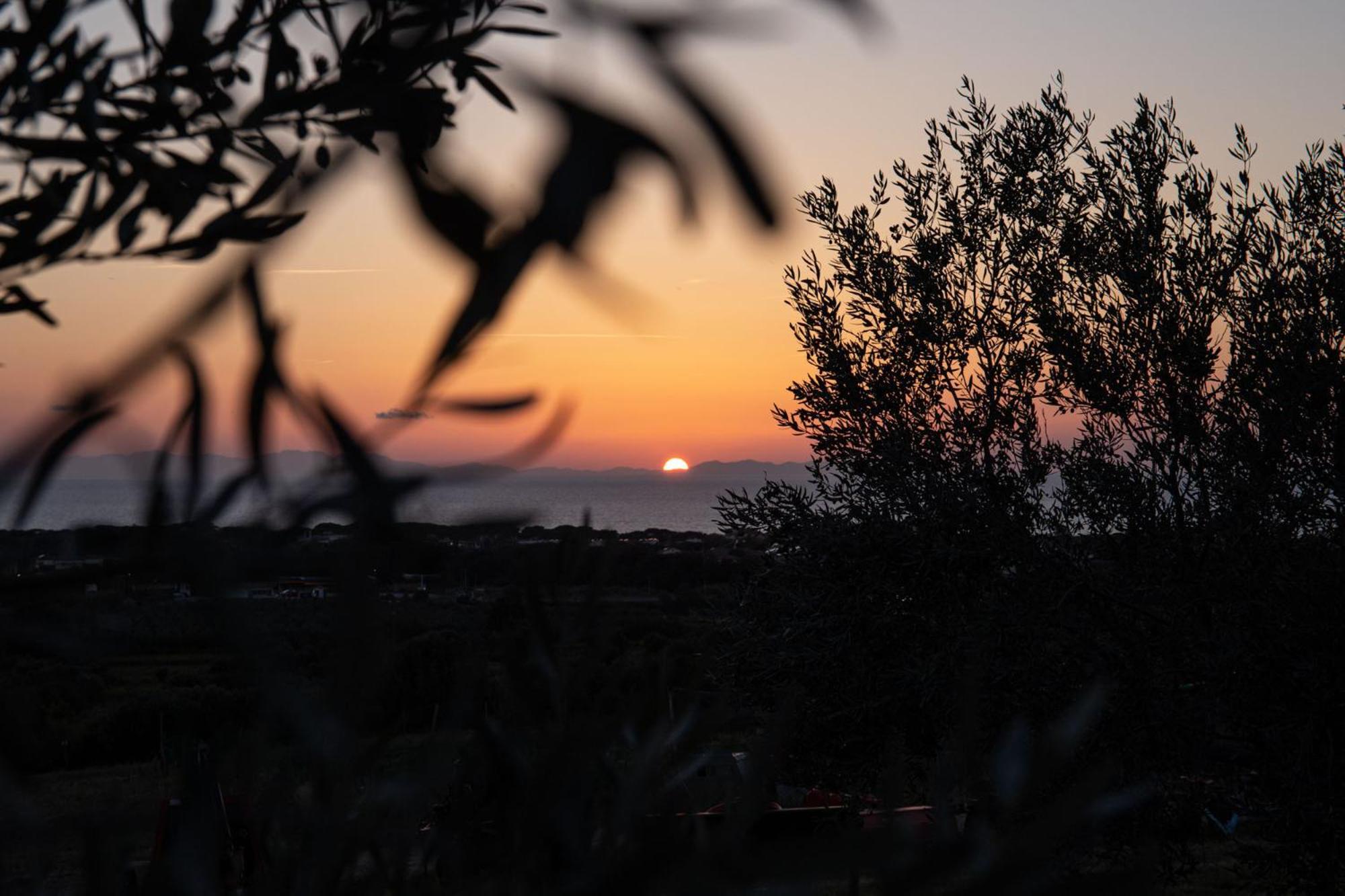 Agriturismo Podere L'Agave San Vincenzo Dış mekan fotoğraf