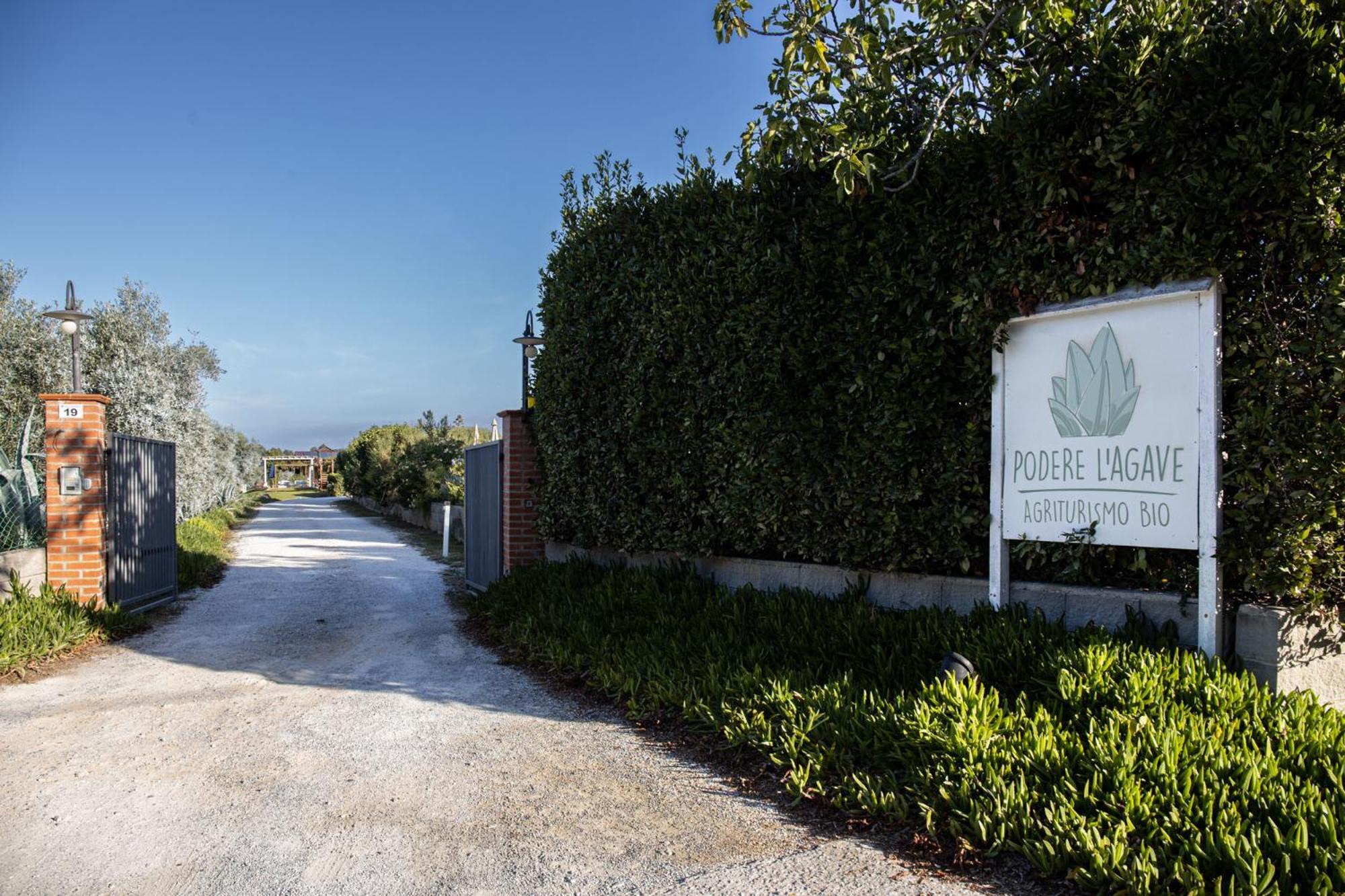 Agriturismo Podere L'Agave San Vincenzo Dış mekan fotoğraf