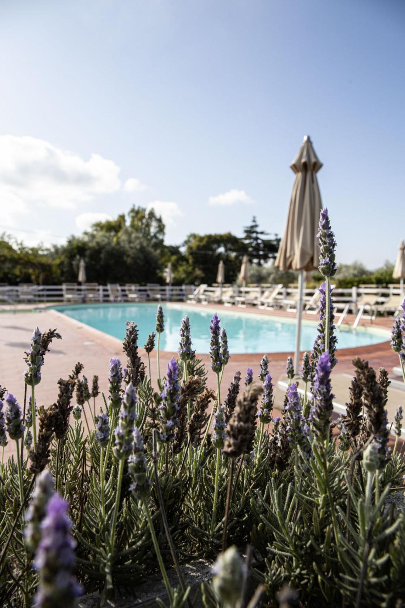 Agriturismo Podere L'Agave San Vincenzo Dış mekan fotoğraf