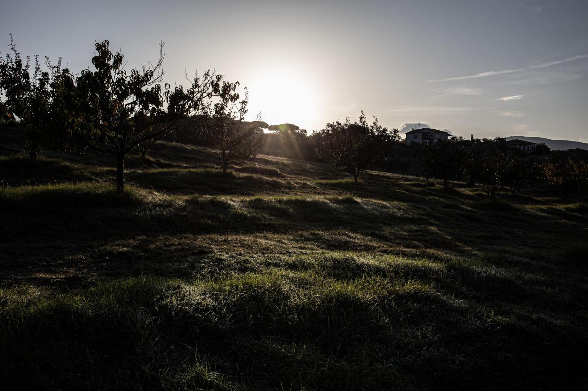 Agriturismo Podere L'Agave San Vincenzo Dış mekan fotoğraf