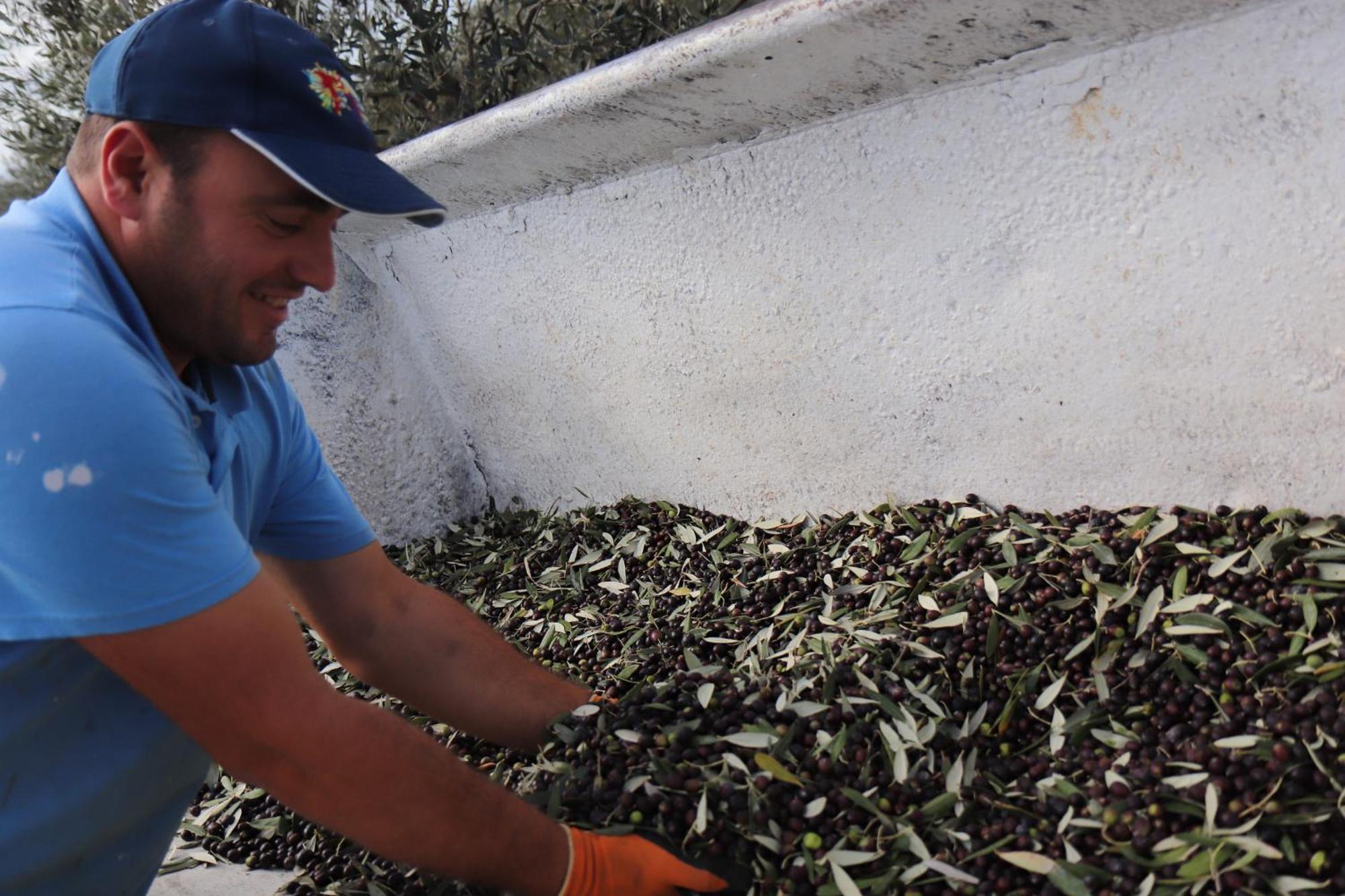 Agriturismo Podere L'Agave San Vincenzo Dış mekan fotoğraf