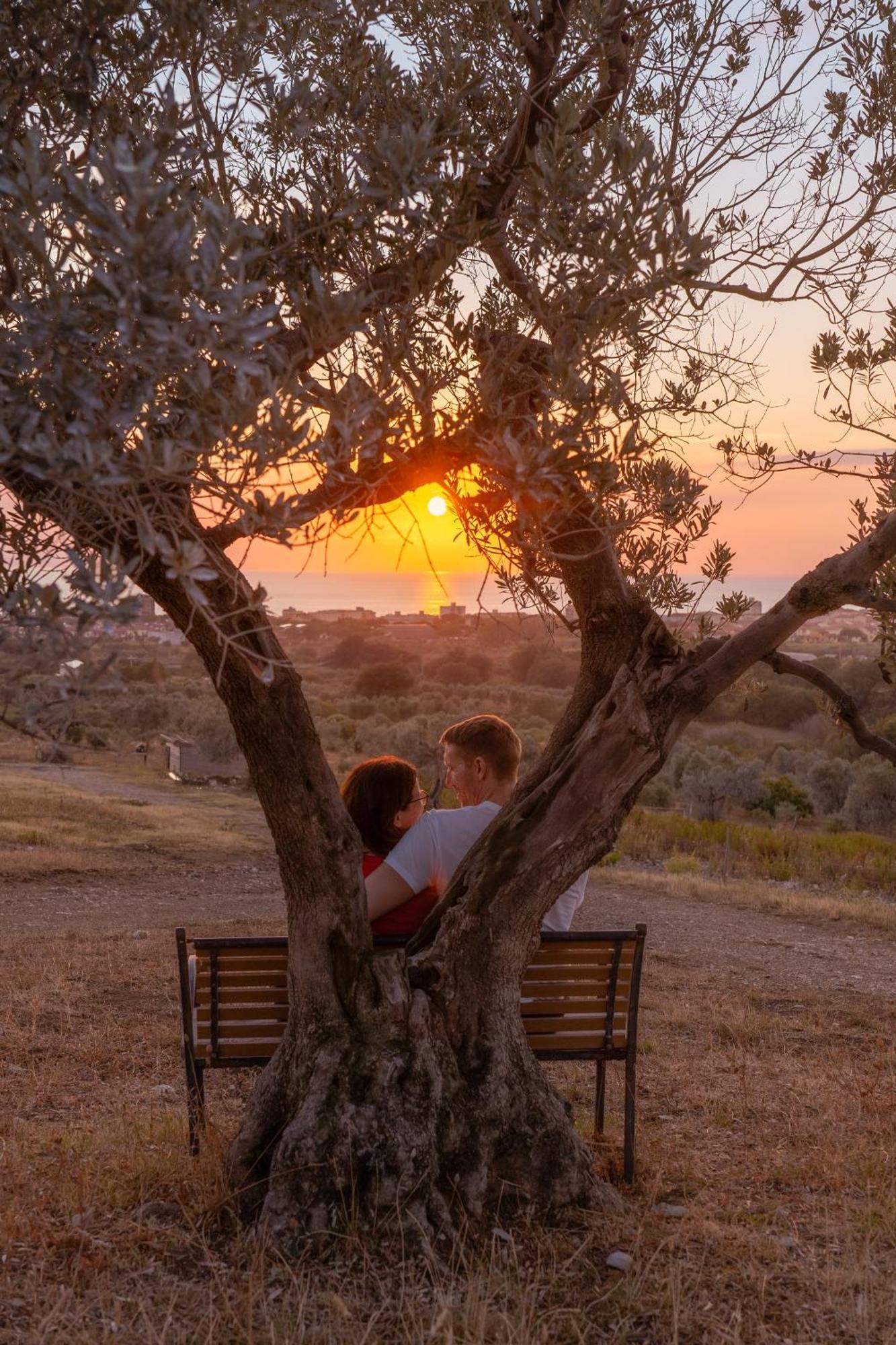 Agriturismo Podere L'Agave San Vincenzo Dış mekan fotoğraf