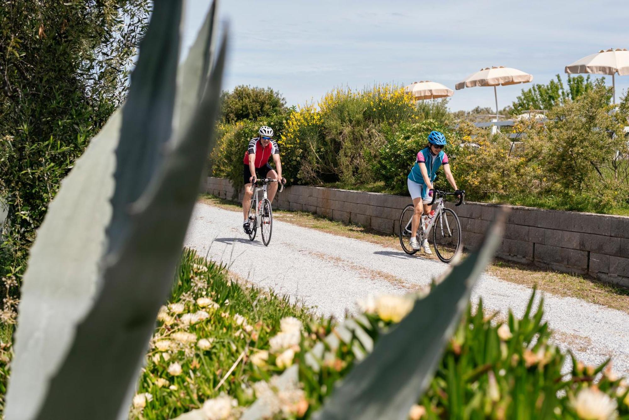 Agriturismo Podere L'Agave San Vincenzo Dış mekan fotoğraf