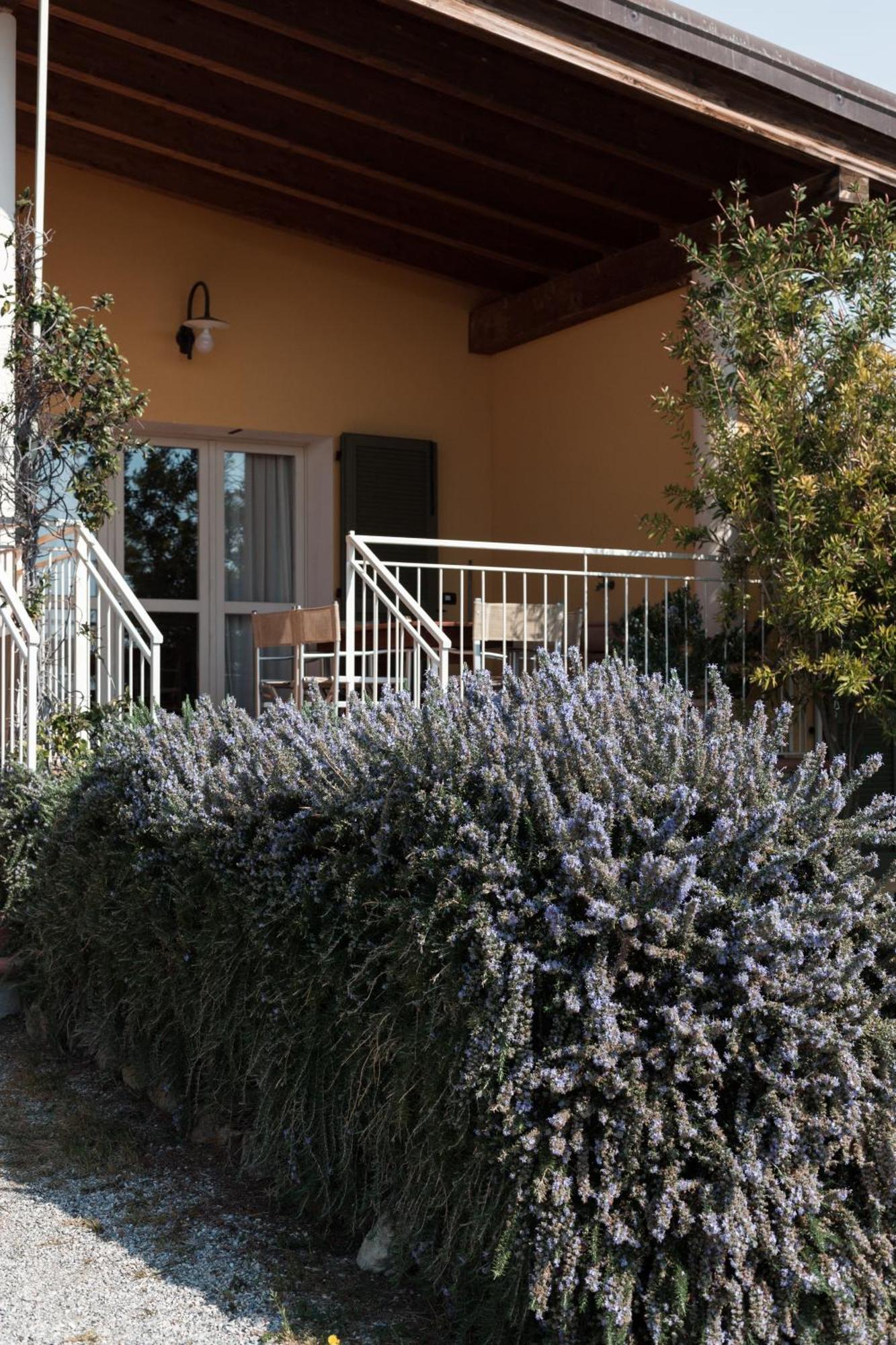 Agriturismo Podere L'Agave San Vincenzo Dış mekan fotoğraf